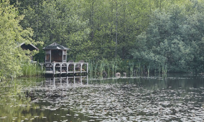 Glandyfi Cabin | Mushroom Yurt set in 4 Acres of Woodland and Lakes