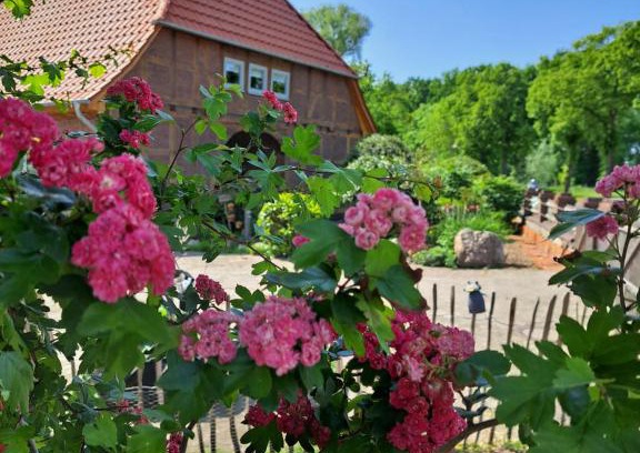 Ummern Apartment | Mutti 's Landhof