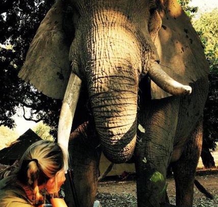 Centenary Other | Mwinilunga Safaris