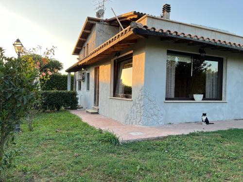 Palestrina House | Myosotyss apartment