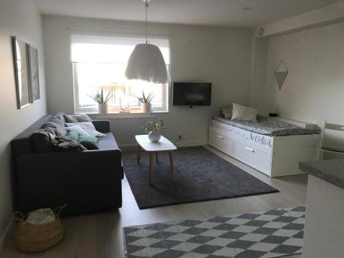 Vastra Frolunda Apartment | Mysig studiolägenhet i Västra Göteborg