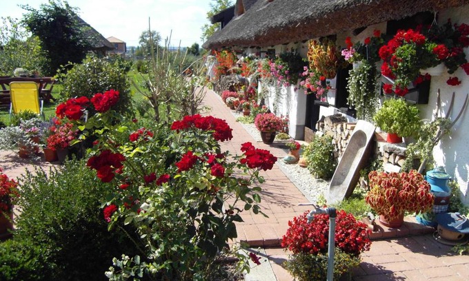 Gyenesdias Apartment | Nádasház