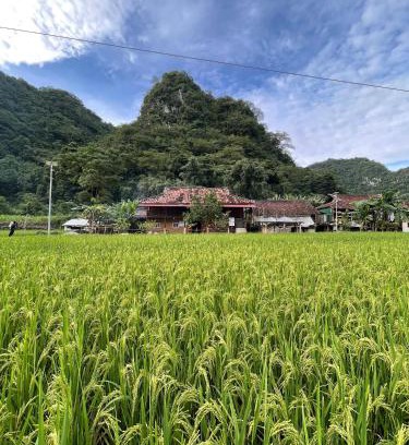 Quang Uyen Ski Chalet | Nùng An homestay-Motorbike Taxi