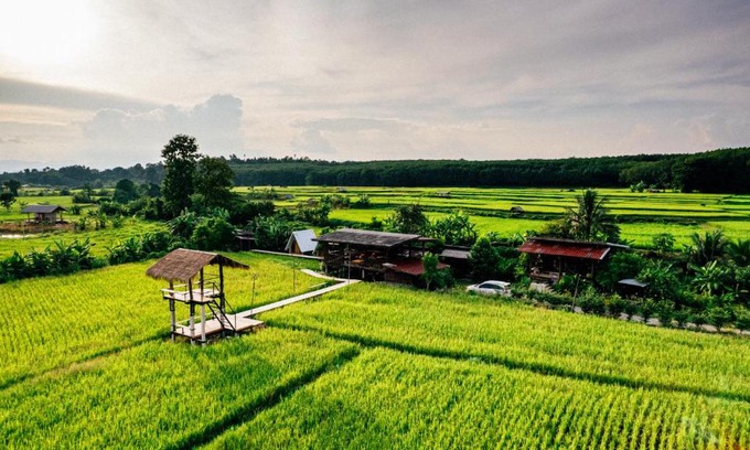 K. Phu Pieng House | Na mong Homestay