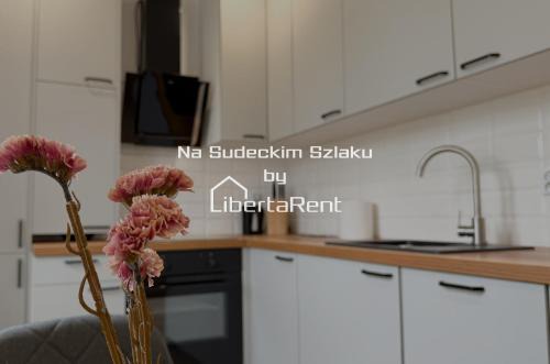 Mieroszow Apartment | Na Sudeckim Szlaku by LibertaRent