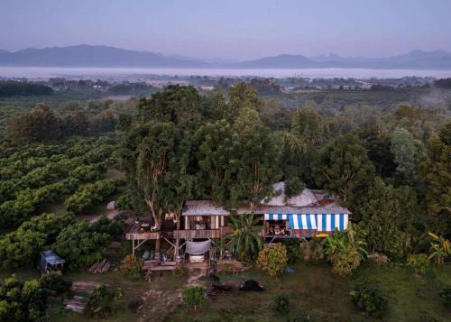 Phrao House | Napahong Treehouse นาป่าฮง