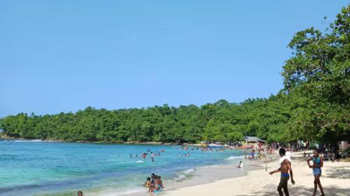 Port Antonio Cabin | Nature Lodge in Portland