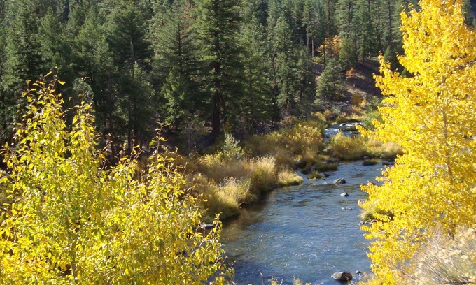 Blairsden-Graeagle Cabin | Nature Sabbatical ~ Lovely cabin with View of Feather River on 40 Acres