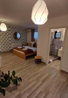 Timisoara Apartment | Neferprod Apartments - IS - CAM 05