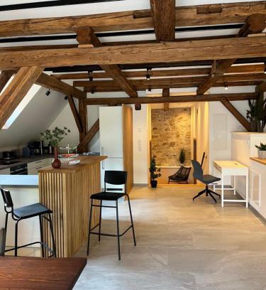 Iphofen Apartment | Neu - Wenkheimer Hof Scheunen-Loft
