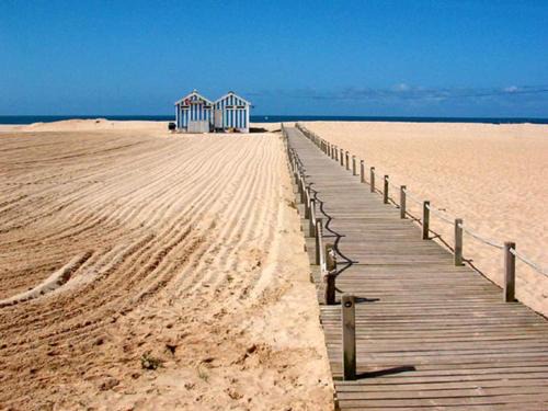 Figueira da Foz Apartment | NEW APT center 1 min walk beach/river/casino!