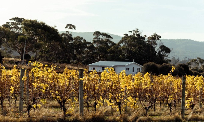 Little Swanport House | *New* Pip's Place at Lisdillon Vineyard