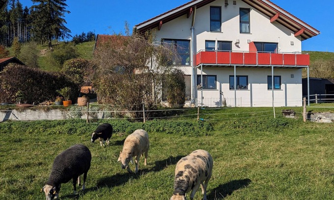 Waltenhofen Apartment | NEW - Time-out at an idyllic ranch