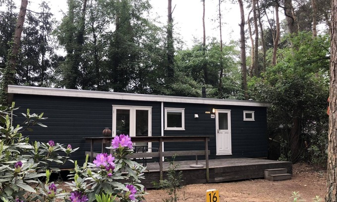 Wechelderzande Ski Chalet | Nice chalet with garden, in the Antwerp Kempen