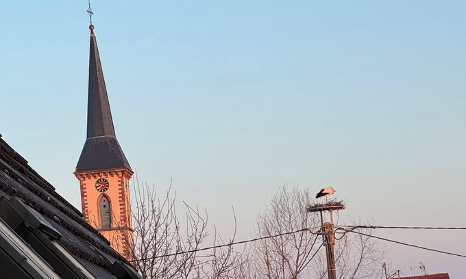 Leutenheim House | Nice gite near Baden-Baden and Strasbourg