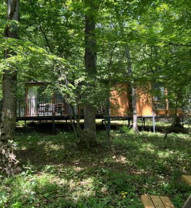 Tbilisi House | Nina's winery forest house in Kiketi