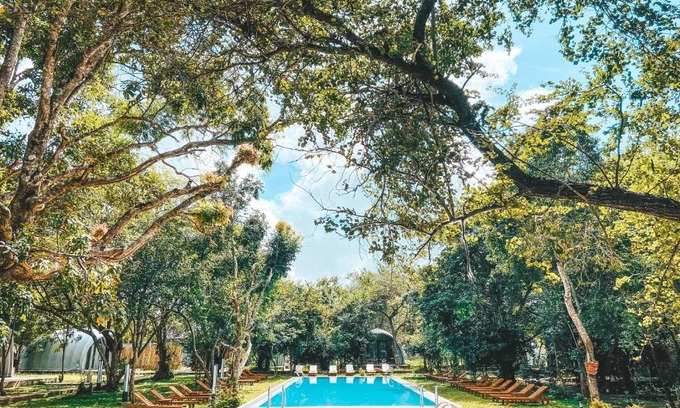 Kimbissa Hotel | NIVADOO RESORT SIGIRIYA