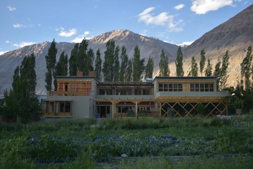 Nubra Valley House | Nubra Ecolodge