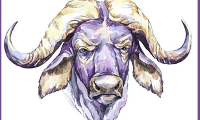 Kestell Bed & Breakfast | Nyathi Bed & Breakfast