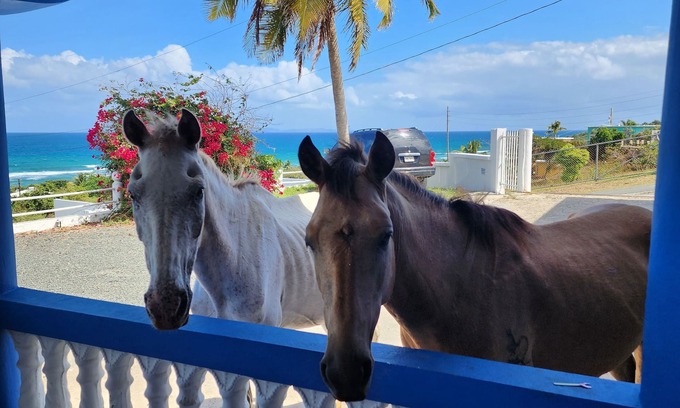 Villa Borinquen House | Ocean View & walk 5 min to Beach. 2BR big house.