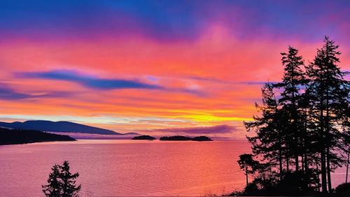 Halfmoon Bay Apartment | Oceanfront Garden Suite - Stunning Views & Wildlife