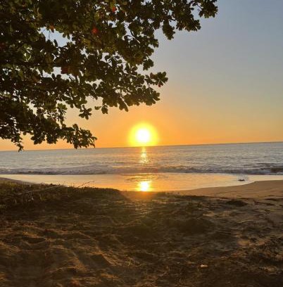 Algarrobos Apartment | Oceanfront Retreat w- Terrace, Direct access to Beach & BBQ