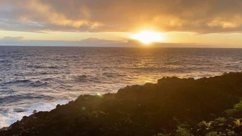 Kapoho House | Oceanfront studio see whales and dolphins