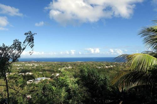 Florida Apartment | Oceanview Apartment with Garden Access