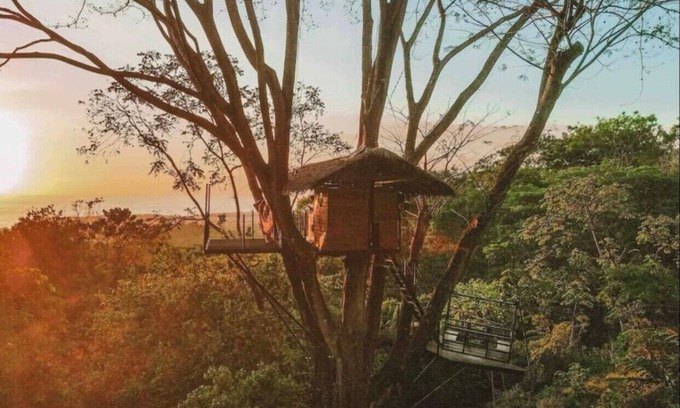 Ballena Cabin | Oceanview Jungle tree house