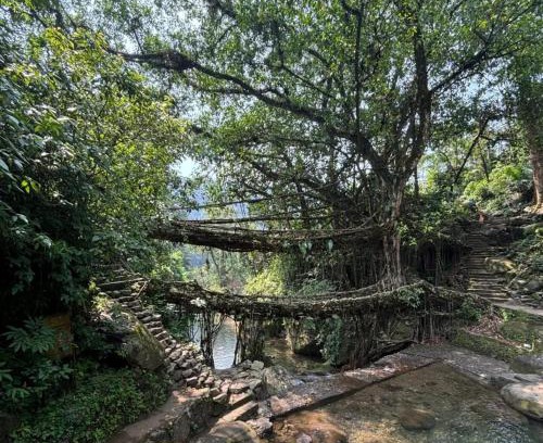 Sohra House | Odyssey Stays Nongriat - 3Kms trek from Main Road