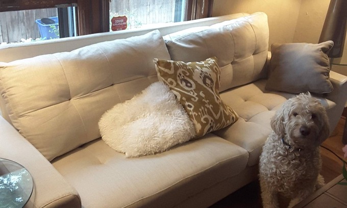 Speer Bed & Breakfast | Off Broadway B&B