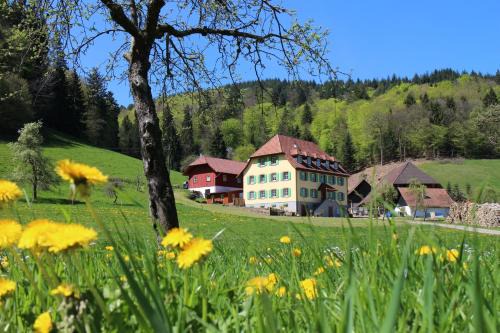 Schuttertal Apartment | Offenburger Hof
