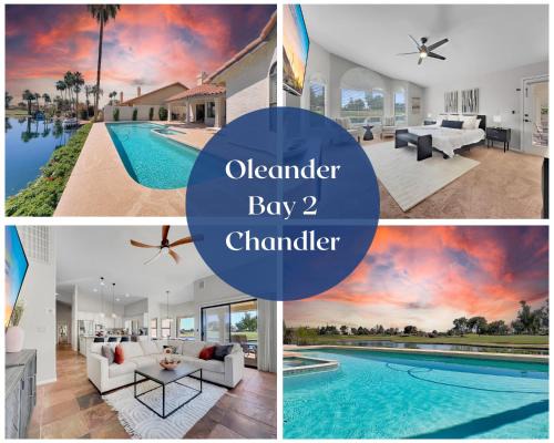 Island at Ocotillo House | Oleander 2 Chandler/Ocotillo