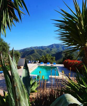 El Chorro House | Olive Branch El Chorro