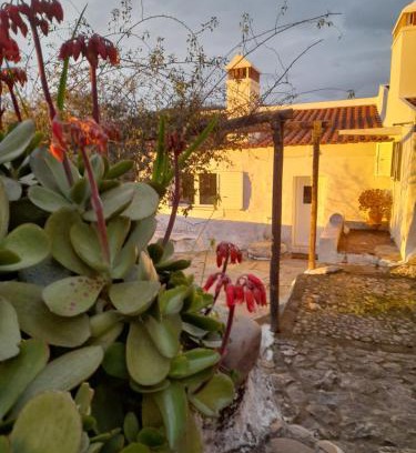 Portalegre House | Olive -Casa da Boavista