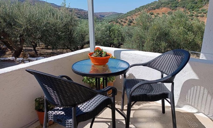 Azokeramos Apartment | Olive metohi return to nature