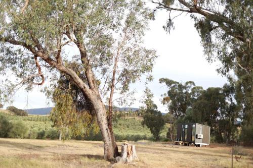 Taggerty House | Olive Sanctuary by Tiny Away