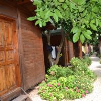 Olympos Cabin | Olympos Doga Pansiyon