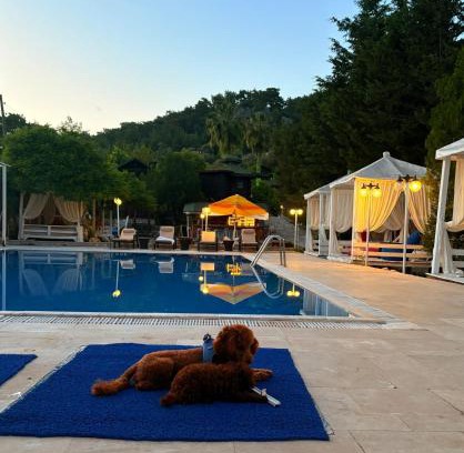 Olympos Resort | Olympos Talara by Arzum