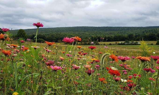 Jones Mills Cabin | One of a kind, private, beautiful rustic cabin in the Laurel Highlands