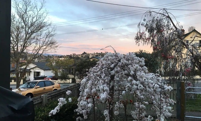 West Launceston House | Oozing character, romantic and cosy for two.