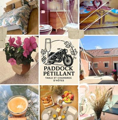 Aumenancourt Bed & Breakfast | paddock pétillant