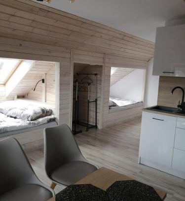 gmina Karsin Apartment | PAKLADA 3 Pokój typu studio