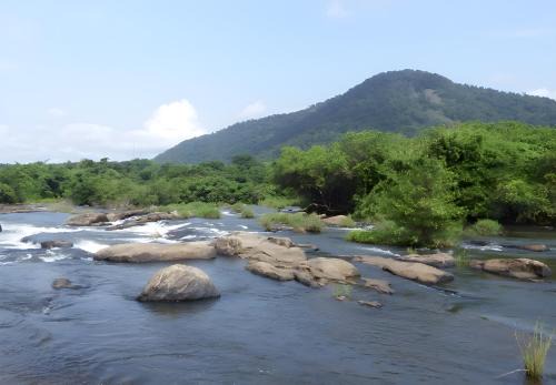 Irinjalakuda Bed & Breakfast | Palatty's Resorts