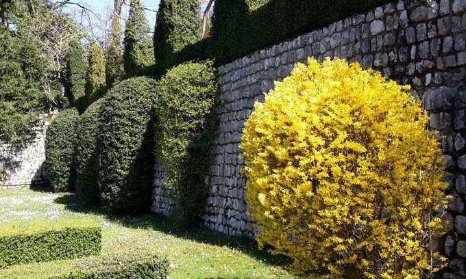 Polcenigo Bed & Breakfast | Palazzo Scolari B&B