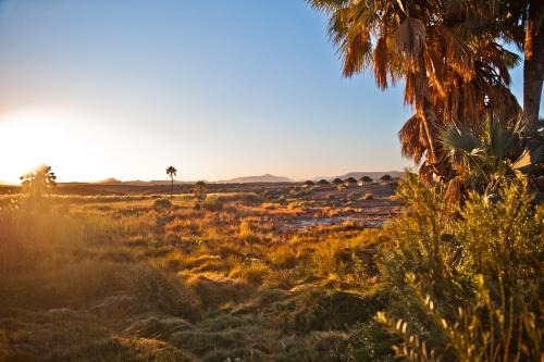 Palmwag Other | Palmwag Campsite