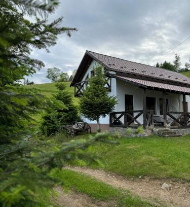 Marisel House | Panoramic House