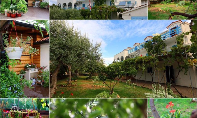 Sucuraj House | Pansion Ivan