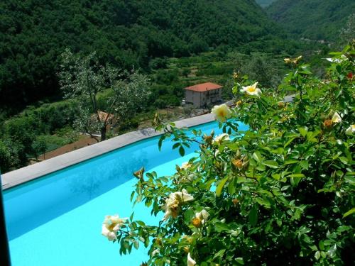 Colletta Apartment | Paradiset THE GREEN NEST