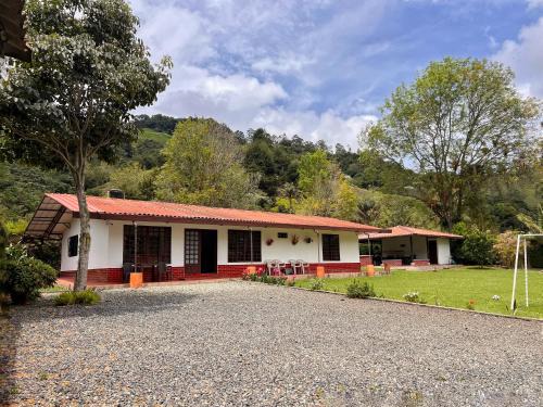 Salento House | Paraiso Cocora